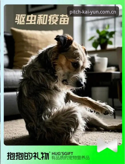 行家避坑指南：3个找英超直播地址的常见错误，开云买球用户一次讲透